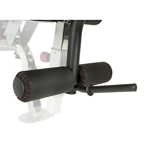 Fitness Reality X-Class Olympic Preacher Curl and Leg Developer Attachment