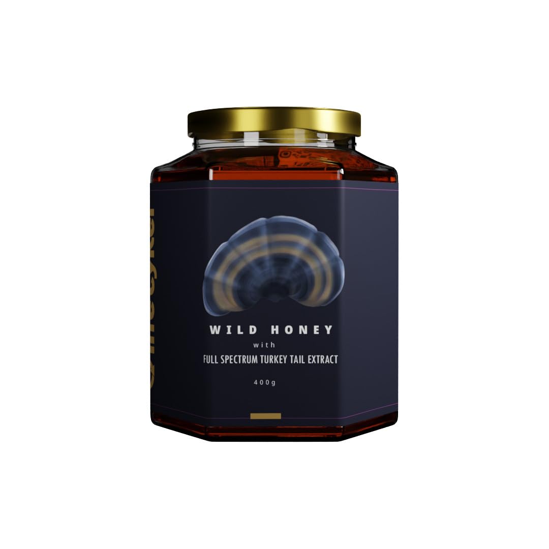 Life Cykel Wild Honey With Full Spectrum Turkey Tail Extract | Daily Immune Support | Gut Health | Anti-Oxidant Power | Worlds Most Trusted Mushroom Supplements | 400g (B0CMCT7NC7) Amazon Price History, Amazon Price Tracker