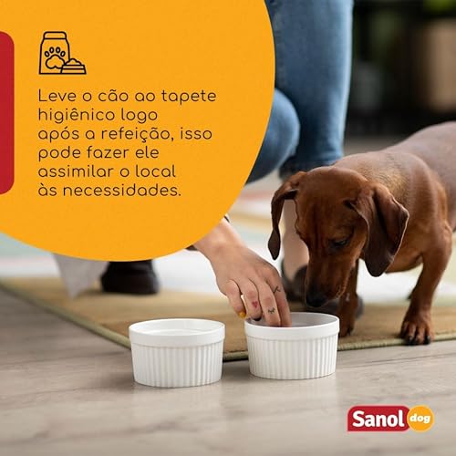 Sanol Dog, Tapete Higiênico Descartável para Cães, 14 unidades, Tamanho total 60cm X 57cm, Tamanho d