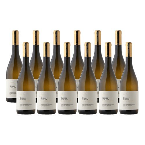 Compra Branco da Talha: 12 Botellas de Vino Blanco Premium Compra Branco da Talha: 12 Botellas de Vino Blanco Premium