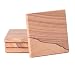 Thirstystone Sandstone Cinnabar Coasters