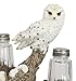 Ebros Gift Baby Owlet Snow White Owl Perching On Snowy Tree Branch Glass Salt And Pepper Shakers Holder Display Figurine Set 6.5