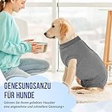 Eyein Hundebody Nach Op, Atmungsaktiver und bequemer Einteiler für Hunde mit Verstellbarer Klettverschluss, Wundschutzanzüge für Hunde zur Verhinderung von Lecken - E-Halsband-Alternative (Grau, M)