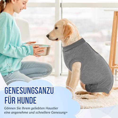 Eyein Hundebody Nach Op, Atmungsaktiver und bequemer Einteiler für Hunde mit Verstellbarer Klettverschluss, Wundschutzanzüge für Hunde zur Verhinderung von Lecken - E-Halsband-Alternative (Grau, M)