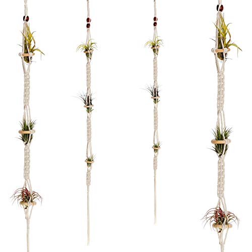 Shappy 4 Pieces Air Plants Holders Hanger Air Plant Wall Hanger Handmade Rope Hanging Plant Holder Woven with 4 Hooks for Home Decoration