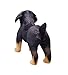 YONLIT Lifelike Rottweiler Dog Stuffed Animal Simulated Plush Puppy Toy Doll Super Realistic Black Dogs Act Like Real Excellent Gifts for Kids Birthday Party Dog Collection 12 Inches (Rottweiler)