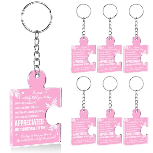 DRMNPKT 6 Pcs Thank You Gifts Bulk Employee Appreciation Keychains, Pink