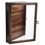Gadpiparty Présentoir Bois Vitre Transparente et Couvercle Rabattable, Boîte Entomologie 31X22X4 CM, Rangement Spécimens pour Amateurs d'Insectes