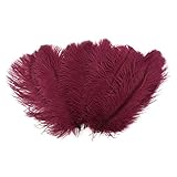 ZUCKER Ostrich Feathers for Centerpieces - Wedding Decorations - Bulk Feathers for Crafts, 1/4 Pound (Approx 60 pcs), 13-16 inch, Burgundy