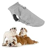 VERDANVERSE Hundeweste Winterjacke für Kleine und Große Hunde Gepolstert und Warm für S Haustierjacke Metallring für Leine