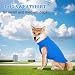 Hundejacke Hundewinterweste Leichtes Rundhals-Winter-Sweatshirt Weicher, Dicker Hundemantel mit D-Ring-Leine für kleine und mittelgroße Hunde zum Gassi gehen, Wandern, Reisen, Blau, XL