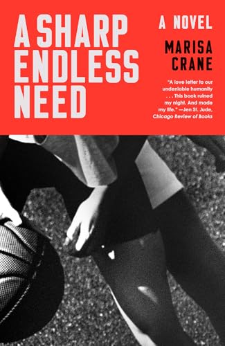 A Sharp Endless Need: A Novel