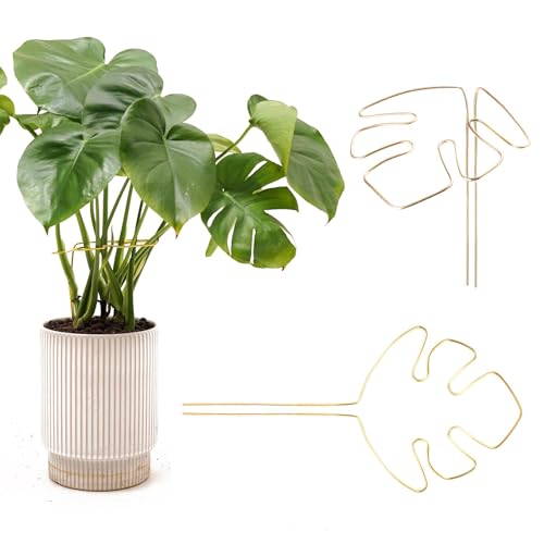 latikaly|x Xe x OAԂ闖[YpAsg[i[ AptbNNbvtNAK[fXeBbN _Ɨp |p iK A|h~ Œ\ 1(S[h)