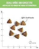 Tales & Tails - Hundefutter Lamm Ba Zamba | Halbfeuchtes Trockenfutter für Hunde | Für Allergiker geeignet | Tierische Proteinquelle mit 75% Lamm | Getreidefrei | Hohe Verträglichkeit | 1,5kg