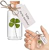 Trèfle à 4 feuilles porte-bonheur dans une fiole en verre pour porter chance, cadeau grigri pour célébrer amour, amitié ou pour un cabinet de curiosités #1