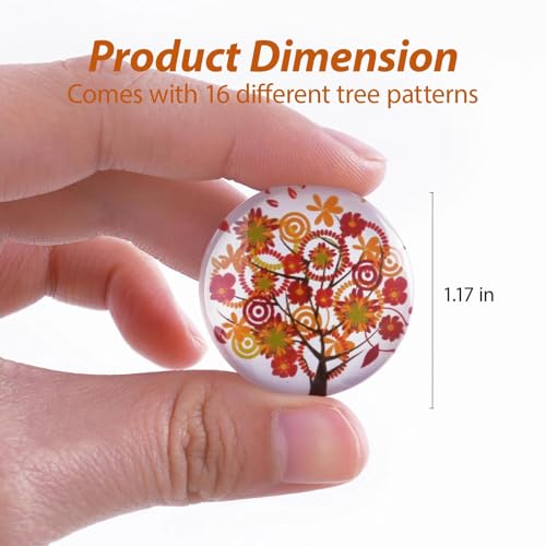 Imanes decorativos para frigorífico 16 piezas miniatura 3