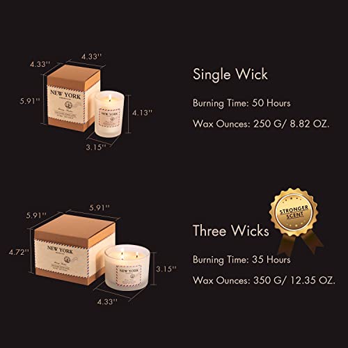 Memory Shadow Hand-Poured Scented Jar Candle - Aromatherapy Scented Candles, New York - Long Lasting Soy Wax Candle - Three Wicks - Scents Of Bergamot & Fig, 12.35 Oz #TOP3