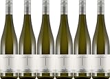 6x 2023 Chardonnay vom Ton trocken - Weingut Silbernagel