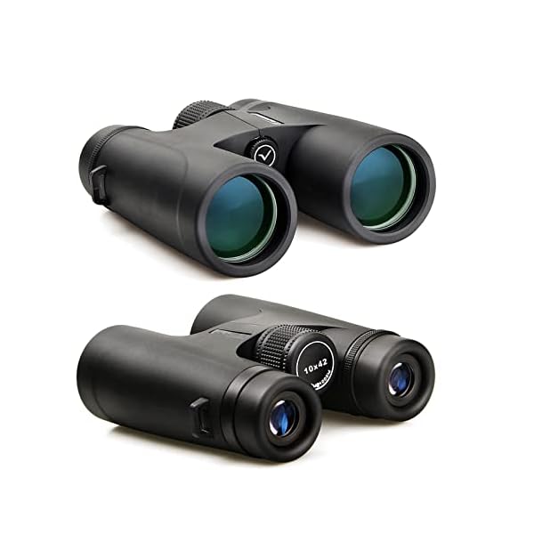 Fernglas 10x42 Kompakt Testsieger Teleskop Breites Sichtfeld GroßEs Okular Fernglas FüR Erwachsene Jagd Wandern Reisen – Bild 4