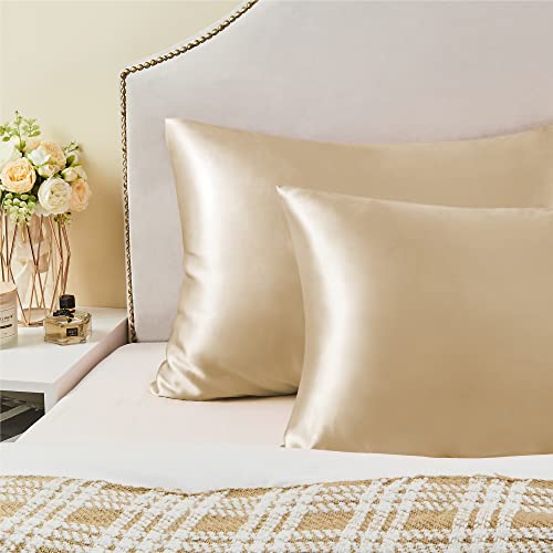 BEDELITE Satin Pillowcase with Zipper, Champagne King Size Pillow Cases Set of 2, Super Soft and Cooling Similar to Silk Pillow Cases, Gift for Women Men(20x40 Inches)