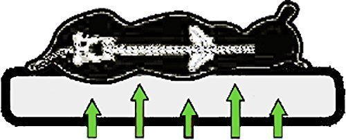 4myBaby GmbH Best for Pets Orthopädisches Hundebett Bello 5 Große Hundekissen Ortho-Medic VISCO Kissen (L-70x60 cm, Apfel-OLIVGRÜN)