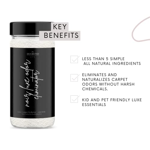 The Diamond Life Home "Noir Luxe" Sea Salt, Ozone, & Black Plum Carpet Powder & Upholstery Freshener With Room Deodorizer, Air/Fabric/Linen Mist Odor Eliminator For Homes With Kids & Pets Bundle #TOP1