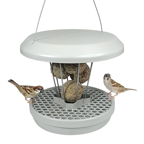 SWISSINNO Bird Feeders - No Mess Fat Ball/Suet Feeder for Outdoors Hanging - Smart Birds Lucerne Spill Proof Wild Cardinal Bird Feeder with Integrated Seed Catcher Tray - Light Grey by SWISSINNO - Used condition - US$32.23