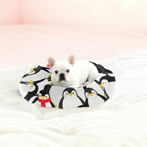 Lit d'hiver pour chien pingouin de taille M lavable - 3