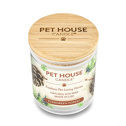 One Fur All, Pet House Candle - 100% Soy Wax Candle - Pet Odor Eliminator For Home - Non-Toxic And Eco-Friendly Air Freshening Scented Candles (Pack Of 1, Evergreen Forest) #TOP2