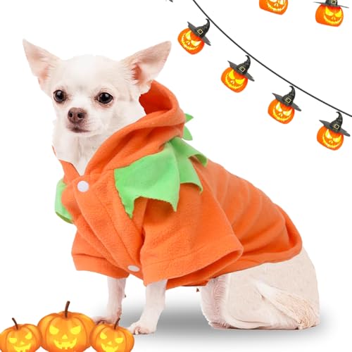 Halloween-Kürbis-Kostüm für Hunde und Katzen, lustige Haustierkleidung, für kleine Hunde, Katzen, Welpen, Größe XL