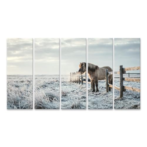 Cheval majestueux tableau XXL islandburner 5 pièces pour décoration murale