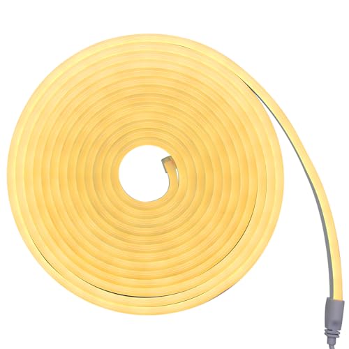 Fita Neon Led 5m 12v Corte 2,5cm Flexivel Alto Brilho (Branco Quente)