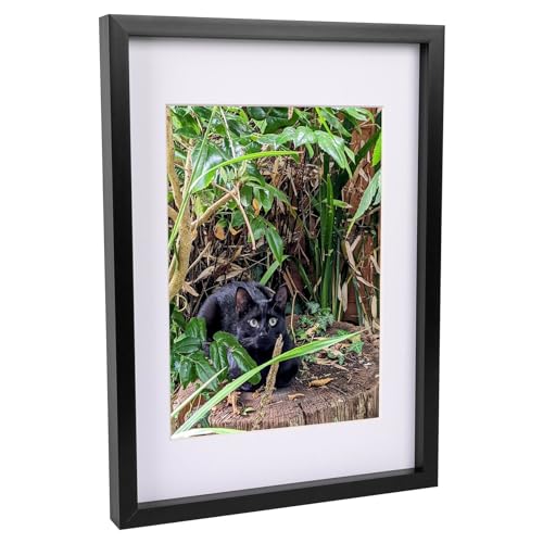 1x Black A3 (12" x 17") Acrylic Shadow Box Frame - White A4 Mount - Deep Glass Photo Picture Flower Craft Memory Wall Display - By Nicola Spring