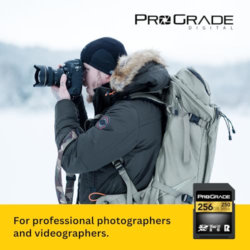 ProGrade Digital V60 256GB