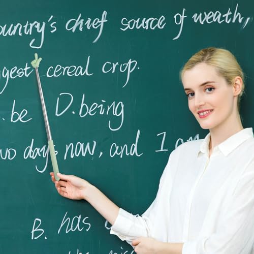 Pndeyo 5 peças de ponteiros retráteis para professores para leitura em sala de aula, bastão de ponte