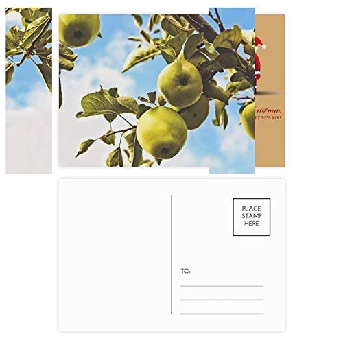Cartes postales fruits tempérés Peer (lot de 20) idée cadeau nature