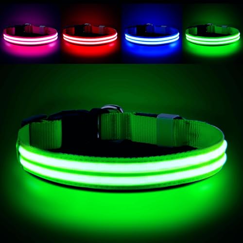 PcEoTllar Leuchthalsband Hund Aufladbar, Hundehalsband Leuchtend, Beleuchtetes LED Halsband für Hunde für Kleine Mittlere Große Hunde, Hunde Leuchthalsband Wasserdicht 3 Leuchtmodi, Grün-S