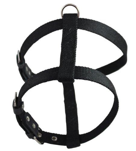 Harnais chien poitrine 55-66 cm compatible sangle de coffre auto