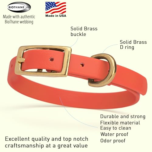 Image of Viper Biothane Heavy Duty Waterproof Dog Collar Strong Coated Nylon Webbing w /Solid Brass Hardware Odor-Proof Easy to Clean High Performance Fits Small Medium or Large Dogs, Coral