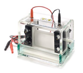 Gel - P8 Upper Buffer Chamber Only- Non Cooled, EA1