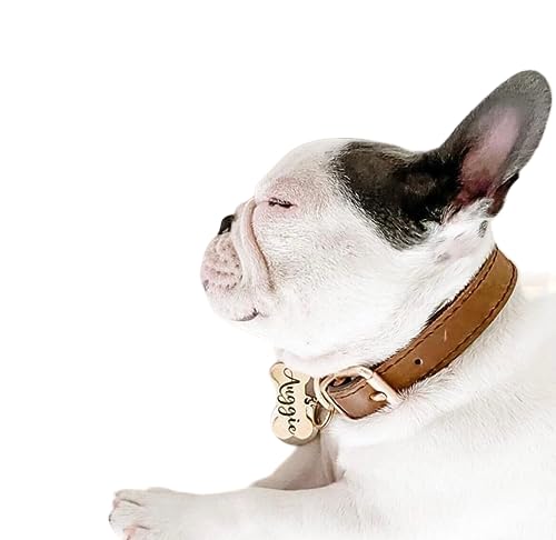 Dog Bone Dog Tag, Custom Engraved Pet Tag, Pet ID Tag, Personalized Dog Tag, Metal Pet ID Tag, Dog Collar Name ID, Handmade, Fast Shipping (Size: Small Dog Bone, Color: Silver)