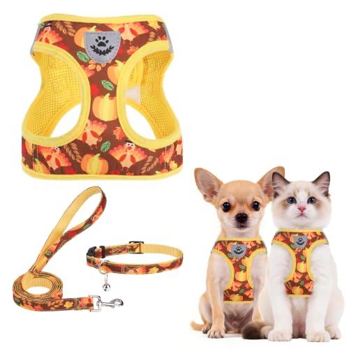 PUPTECK Dog Harness, Collar and Leash Set No Pull for Small Medium Sized