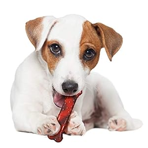 Nyladental Bone Energy Chew Taste Frenzy Dental Bone Chew Toy for Canines Indestructible Chew Toys for Aggressive Chewers Beef Jerky Taste Smallcommon  As Much As 25 Ibs 1 Rely  Cucciolini Doodles Nyladental bone energy chew taste frenzy dental bone chew toy for canines indestructible chew toys for aggressive chewers beef jerky taste smallcommon  as much as 25 ibs 1 rely   cucciolini doodles