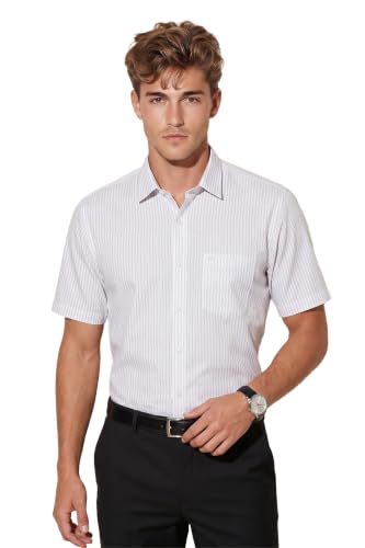 Image of Peter England Men's Formal Half Sleeve Shirt