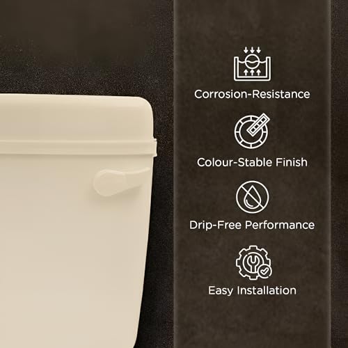 Image of Prayag Smart Flush PTMT 10 Litre Cistern for Indian & Western Toilet | Wall Mounted Cistern with Side Handle | 3-Years Manufacturer Warranty | Leak-Proof Toilet Flush Tank - (Ivory)