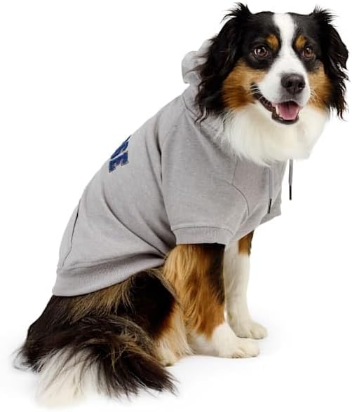 Reddy by Petco College Pet Hoodie Grey X-Large