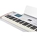 Arturia KeyLab 88 mk3 88-Key Hammer-Action Universal MIDI Controller (White) Bundle with Arturia Wooden Legs for 88 MkII/PolyBrute Stand, Kaces KKC-LG Large Stretchy Keyboard Dust Cover