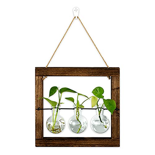 Hängende Vermehrungsstation Für Pflanzen Wand Pflanzer Indoor Vintage Wand Glühbirne Vase Für Blumen Mit Holzrahmen Für Ästhetische Raumdekoration Home Office Zubehör Cover