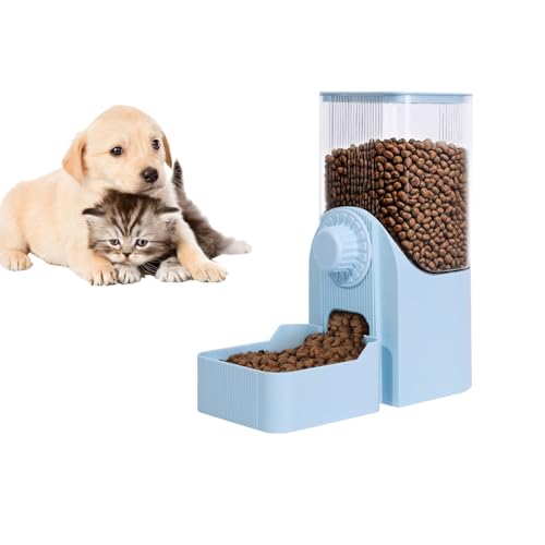 nMOybgt[hfBXyT[A58IXeʃybgtB[_[Ad̓P[WnMOt[h{E^LETMtFbgbgnlY~``(u[)