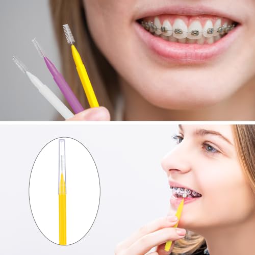 Image of Patelai 100 Pieces Braces Dental Brush for Cleaner Interdental Toothpick Dental Tooth Flossing Head Oral Hygiene Flosser Toothpick Cleaners Tooth Tool(Classic Colors,Multiple Sizes)